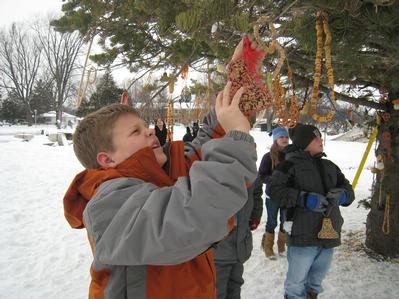 Community Christmas Tree - Photo Number 1
