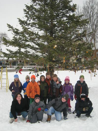 Community Christmas Tree - Photo Number 4