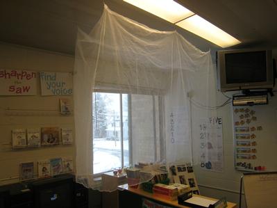 Mosquito Net