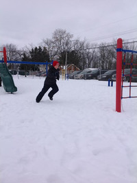 Slalom Run - Photo Number 3