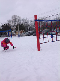 Slalom Run - Photo Number 6