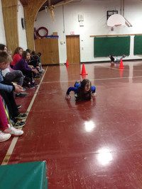 Skeleton - Photo Number 1