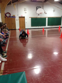 Skeleton - Photo Number 2