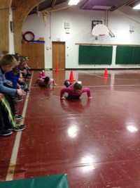 Skeleton - Photo Number 3