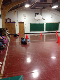 Skeleton - Photo Number 4