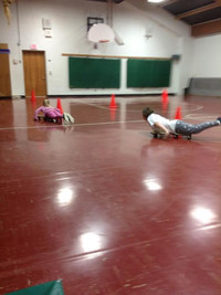 Skeleton - Photo Number 5