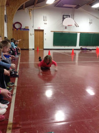 Skeleton - Photo Number 6