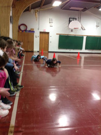 Skeleton - Photo Number 7