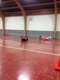 Skeleton - Photo Number 10