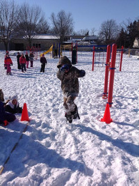 Ski Jump - Photo Number 5